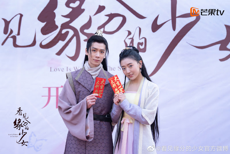 Love Is Written in the Stars China Web Drama